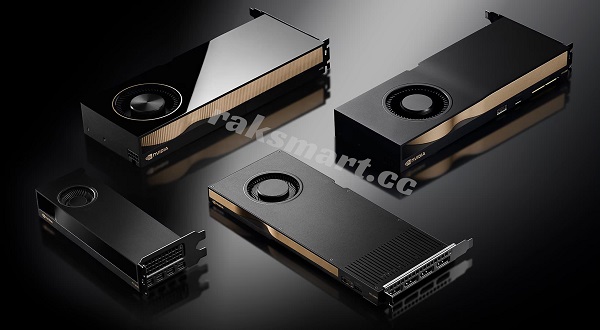 raksmart美国GPU服务器，支持GTX/RTX/Tesla P100/HGX A100等，可定制！-Raksmart